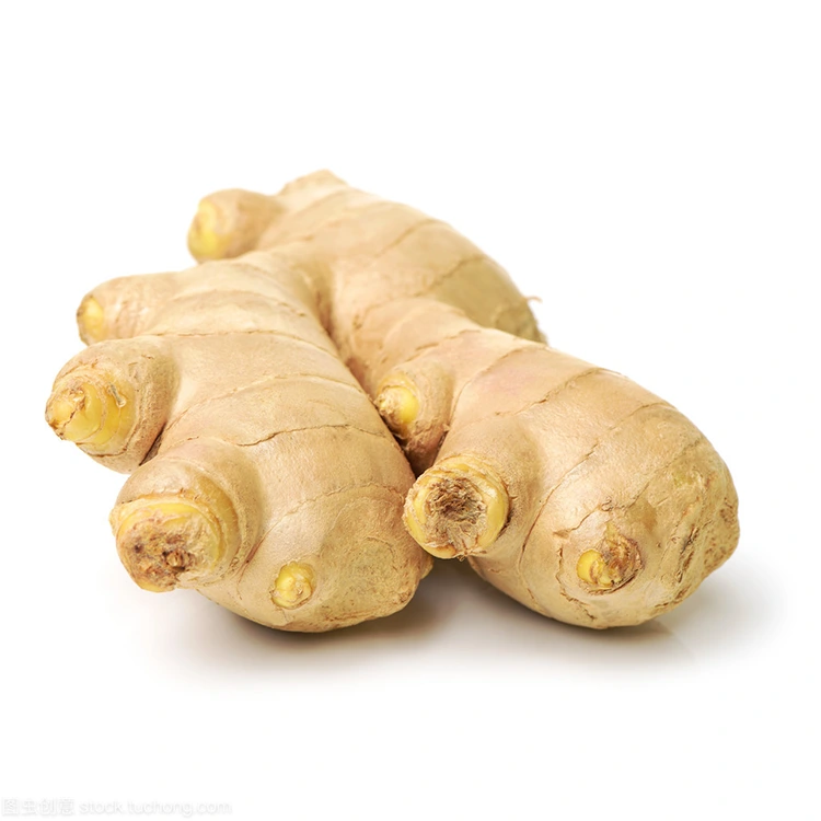 Hobaneng ha Ginger e Ncha ea Premium e le Khetho e Ratoang bakeng sa Bareki ba Hlokomelang Boleng?