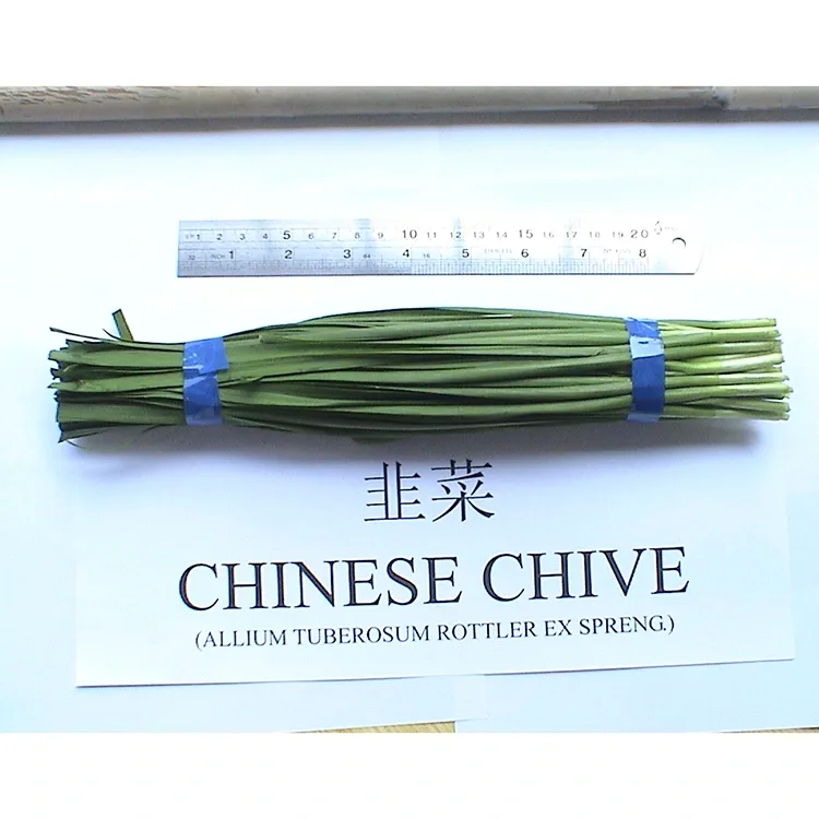 Hobaneng ha Li-Chives tsa Machaena tse Ncha li sebelisoa Haholo Lijong tsa Asia?