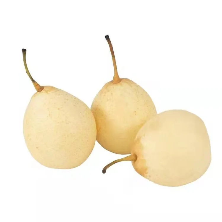 Ya Pear e sa tsoa Kotuloa