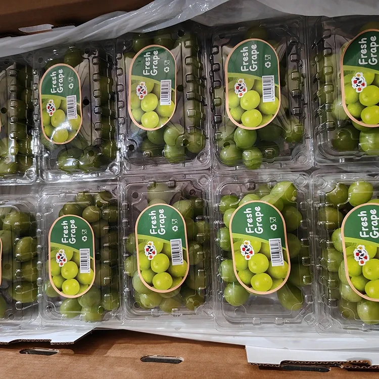 Morara o khethiloeng oa Muscat o Khanyang a Fresh