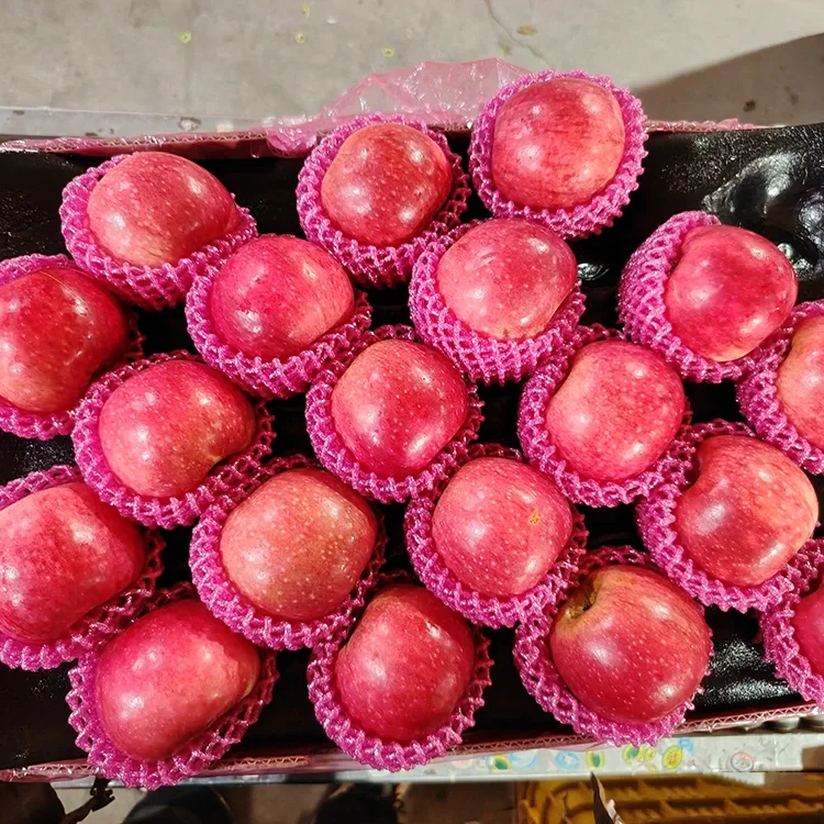 Superior Fresh Jiguan liapole