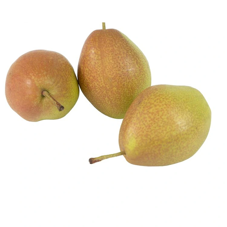Boleng bo Phahameng Fresh Hongxiangsu Pears