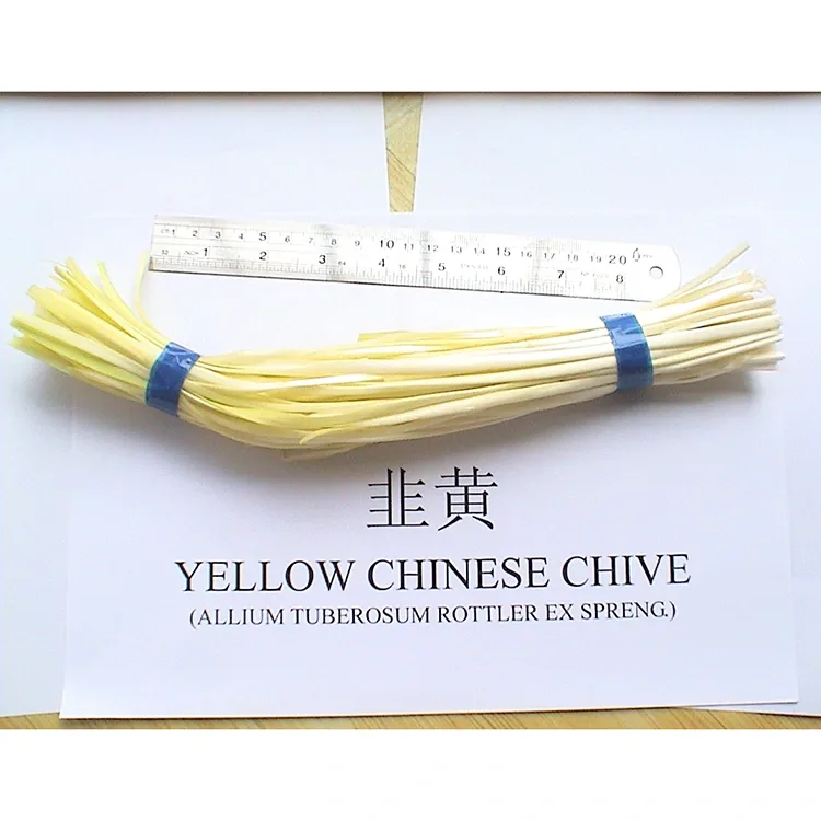 Li-Chives Tse Bosehla
